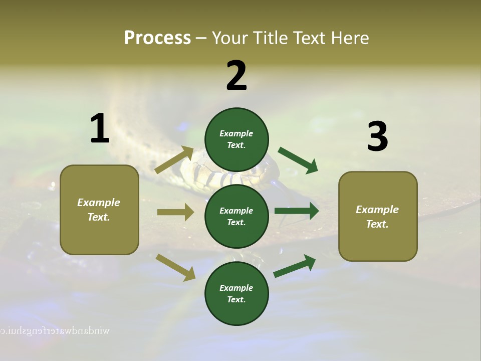 A Snake On A Leaf In A Pond Powerpoint Template PowerPoint Template