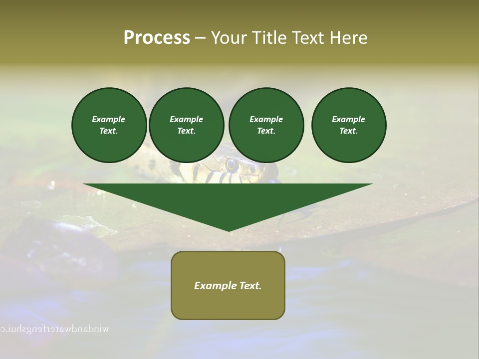 A Snake On A Leaf In A Pond Powerpoint Template PowerPoint Template