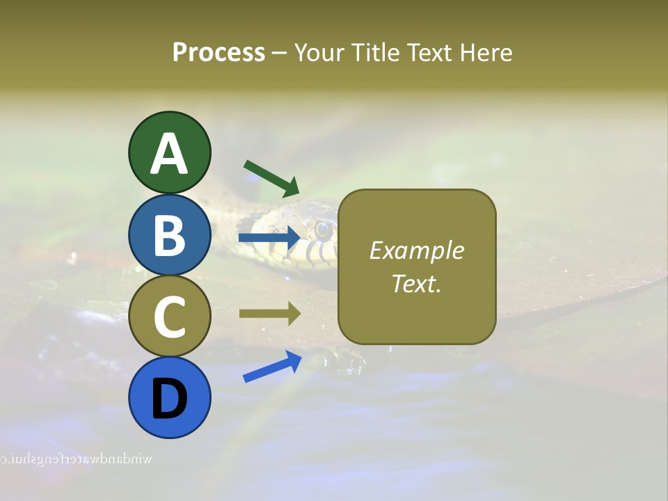 A Snake On A Leaf In A Pond Powerpoint Template PowerPoint Template