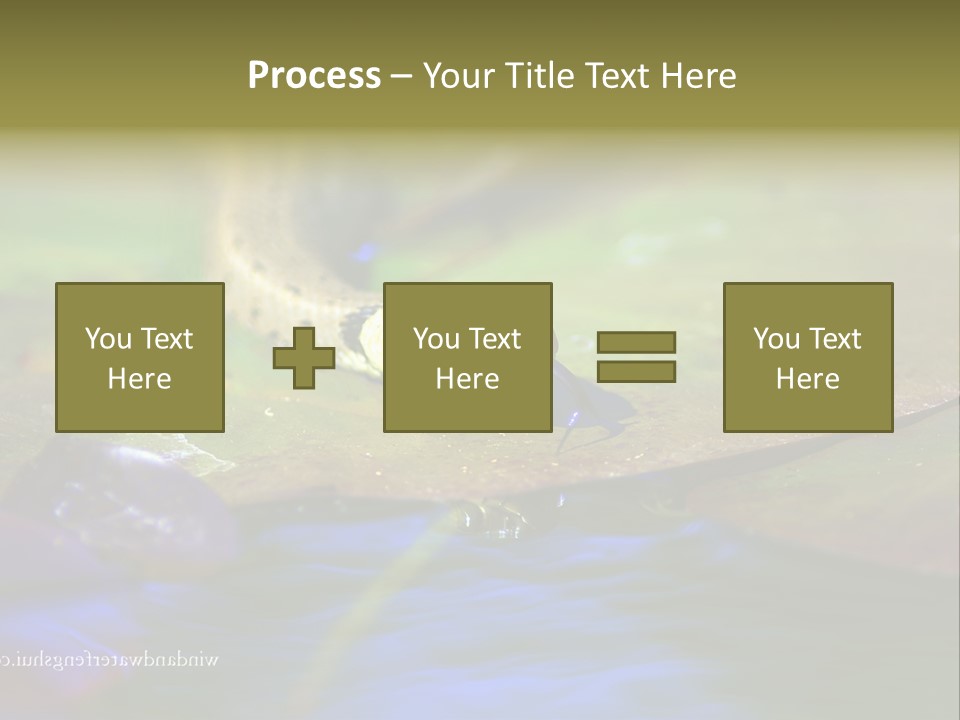 A Snake On A Leaf In A Pond Powerpoint Template PowerPoint Template