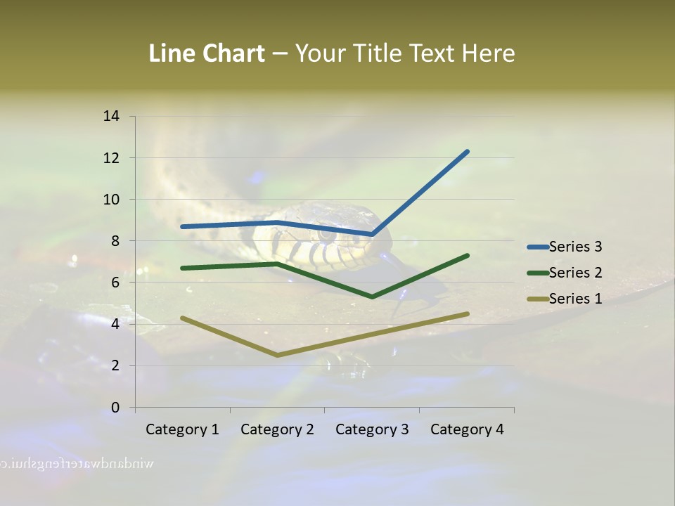 A Snake On A Leaf In A Pond Powerpoint Template PowerPoint Template
