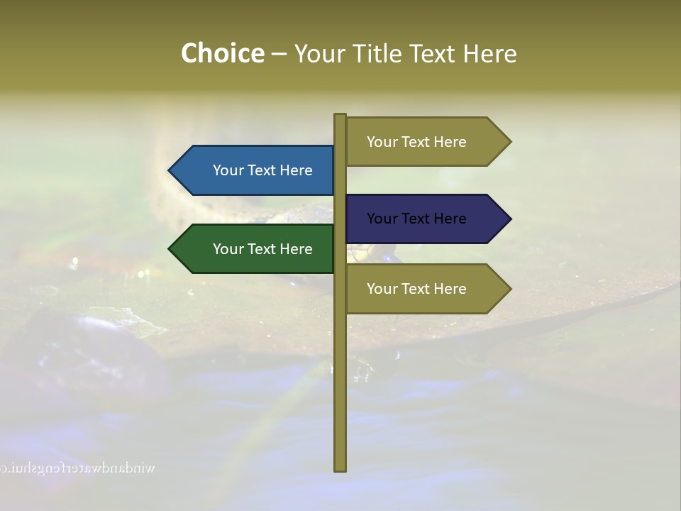 A Snake On A Leaf In A Pond Powerpoint Template PowerPoint Template