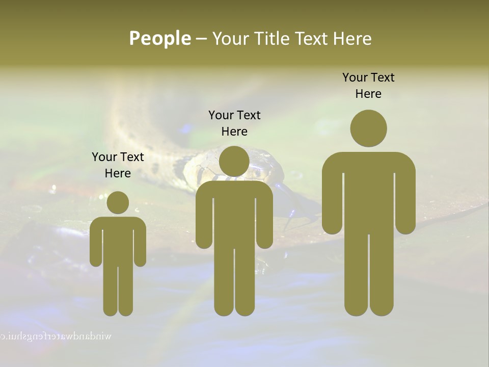 A Snake On A Leaf In A Pond Powerpoint Template PowerPoint Template