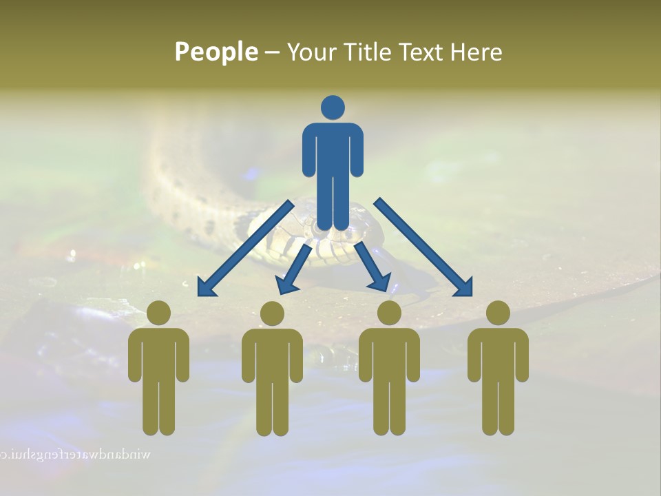 A Snake On A Leaf In A Pond Powerpoint Template PowerPoint Template