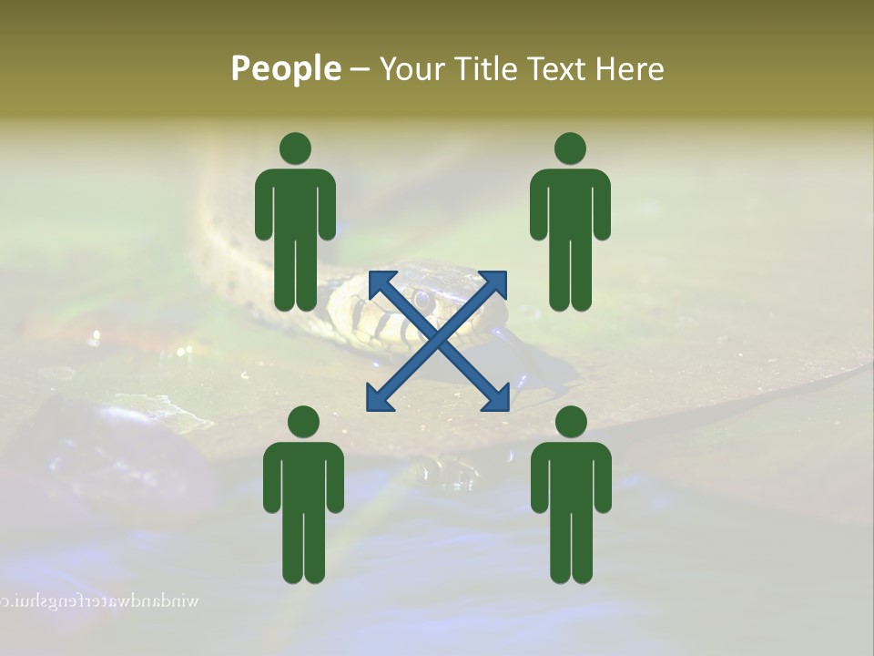 A Snake On A Leaf In A Pond Powerpoint Template PowerPoint Template