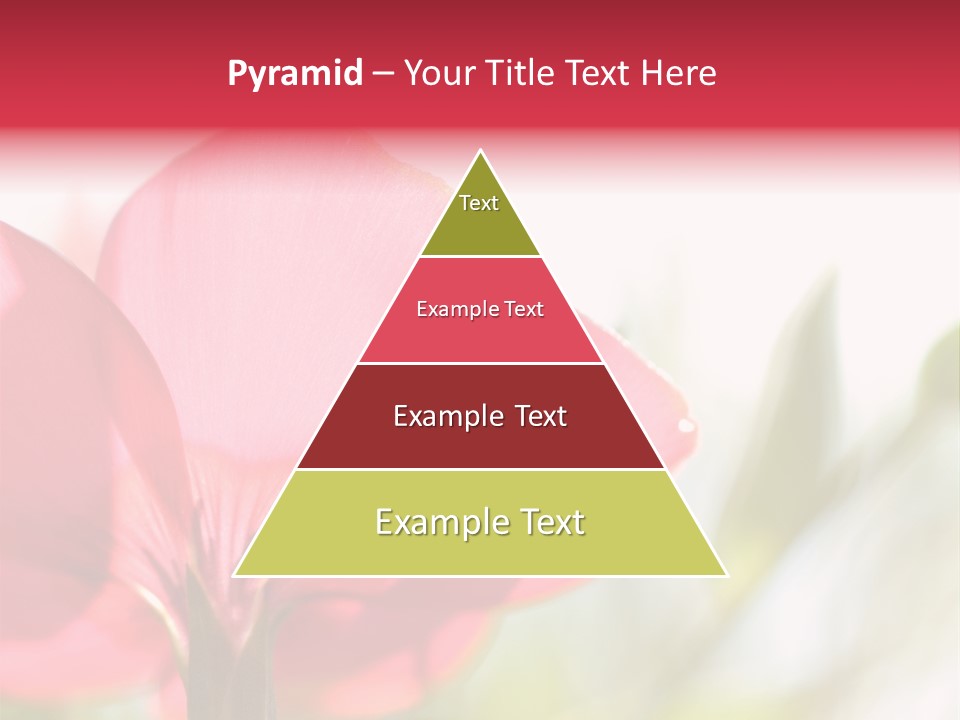 Lotion White Expecting PowerPoint Template