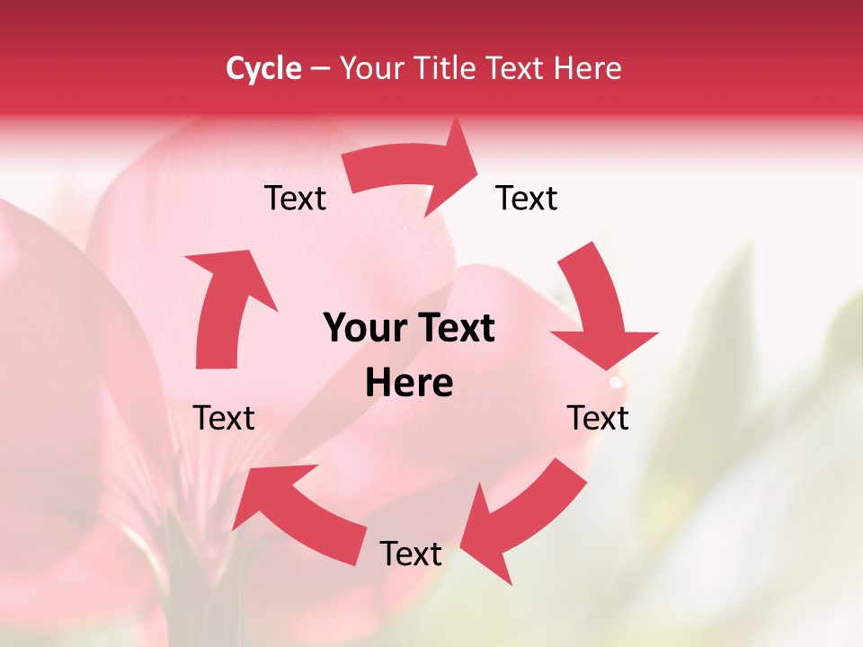 Lotion White Expecting PowerPoint Template