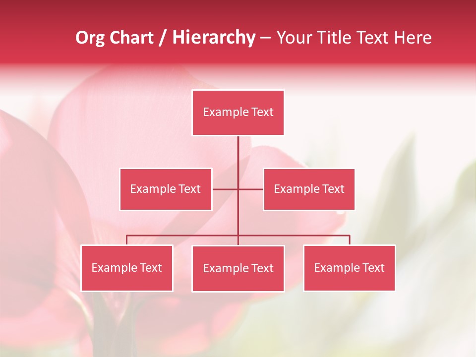 Lotion White Expecting PowerPoint Template