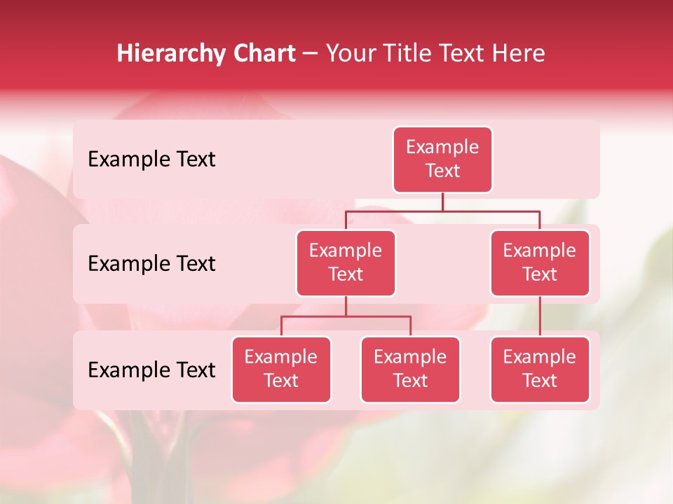 Lotion White Expecting PowerPoint Template