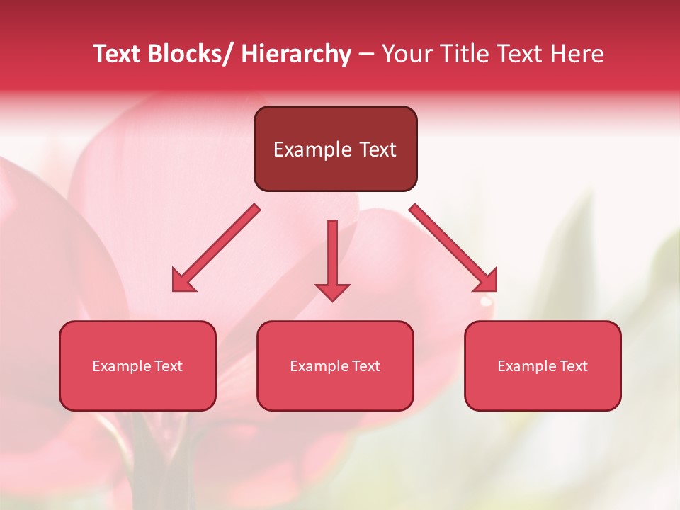 Lotion White Expecting PowerPoint Template