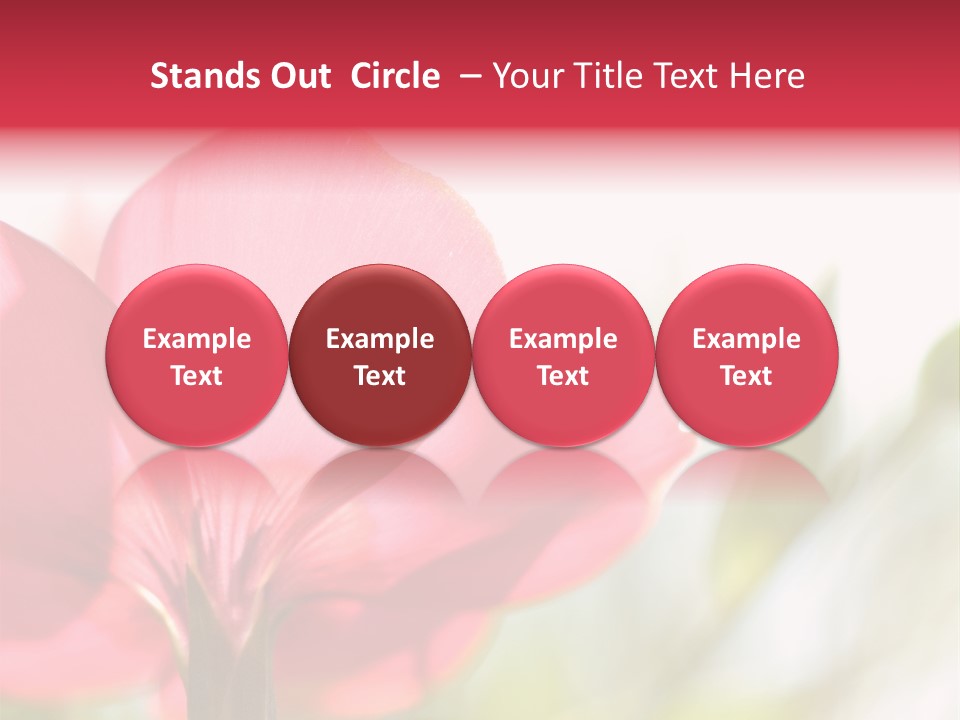 Lotion White Expecting PowerPoint Template