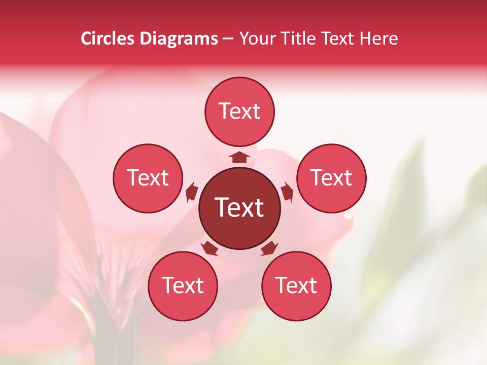 Lotion White Expecting PowerPoint Template