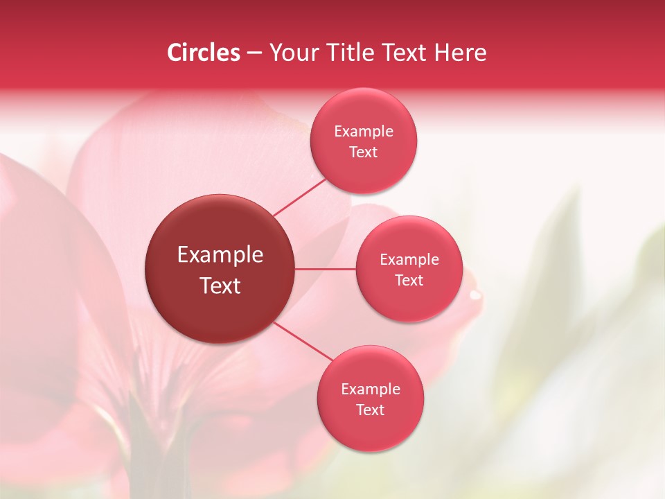 Lotion White Expecting PowerPoint Template