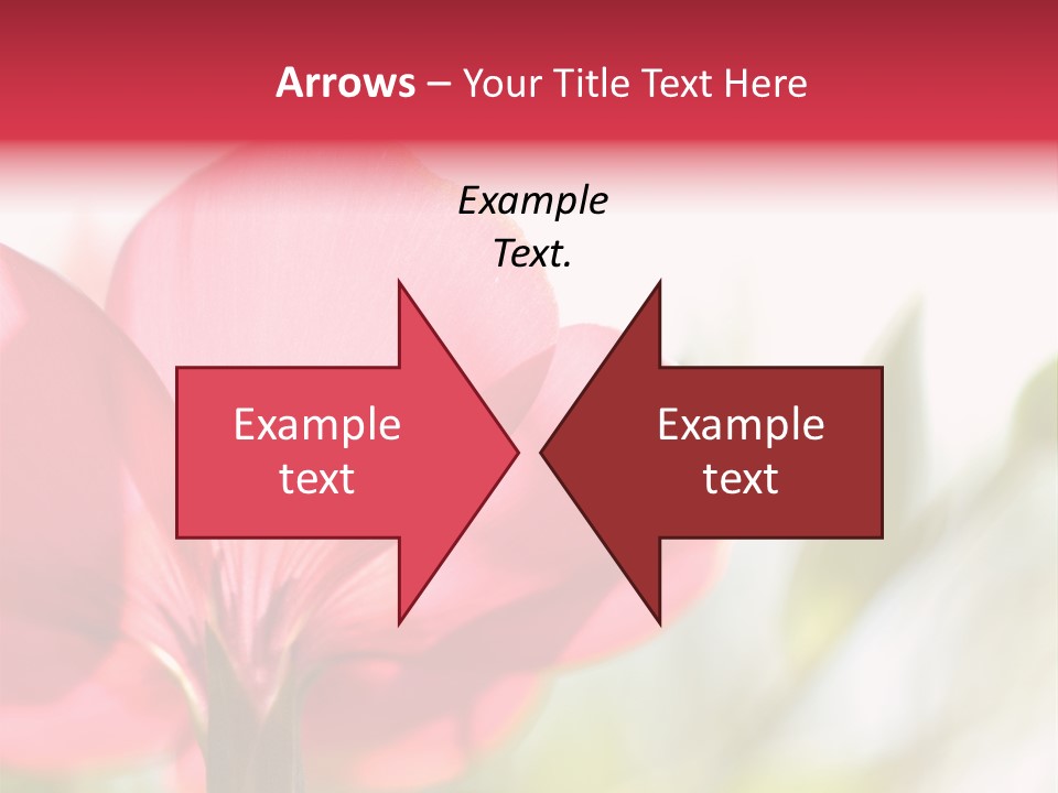 Lotion White Expecting PowerPoint Template