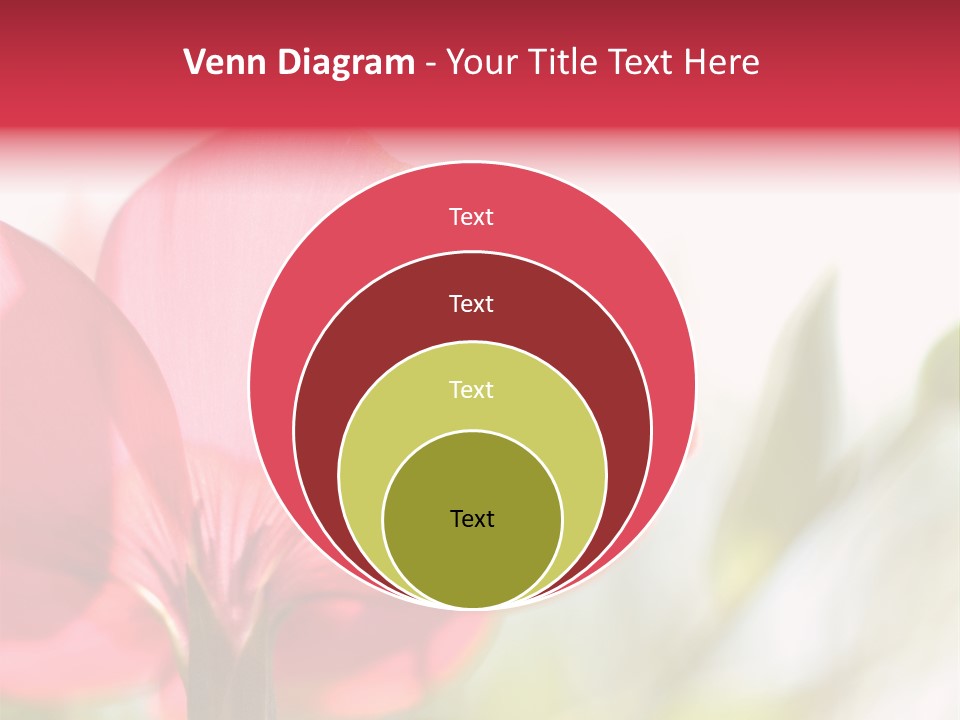 Lotion White Expecting PowerPoint Template