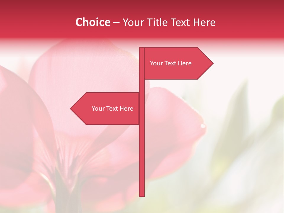 Lotion White Expecting PowerPoint Template