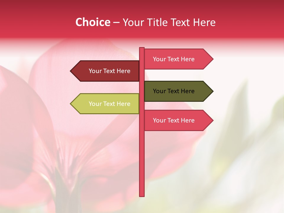 Lotion White Expecting PowerPoint Template