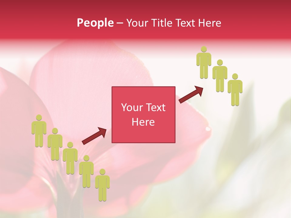 Lotion White Expecting PowerPoint Template