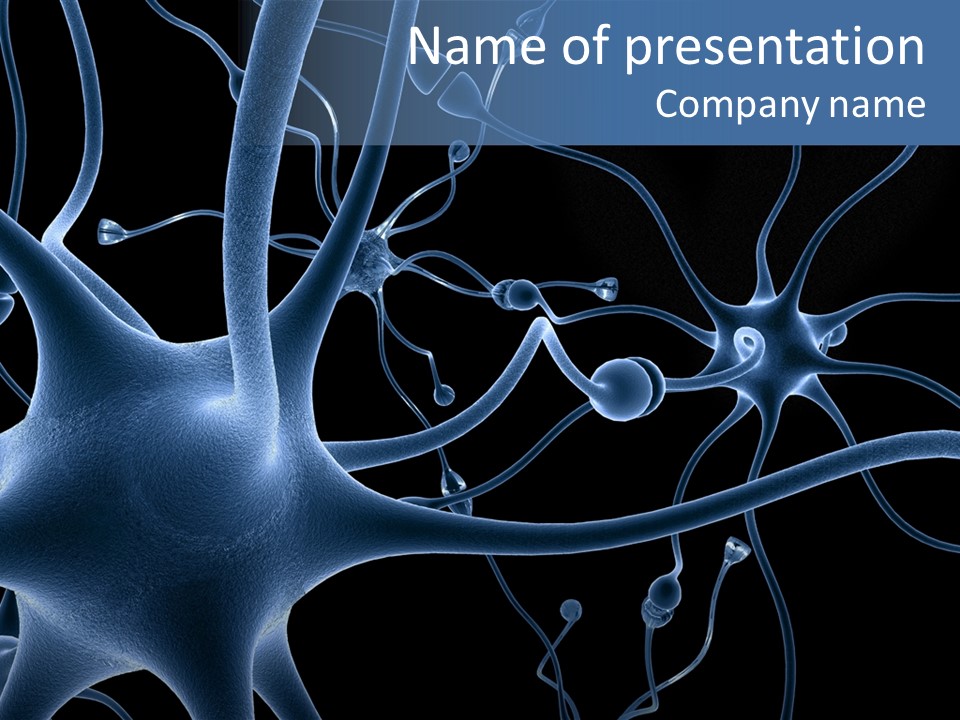 Biochemistry Brain Meningitis PowerPoint Template