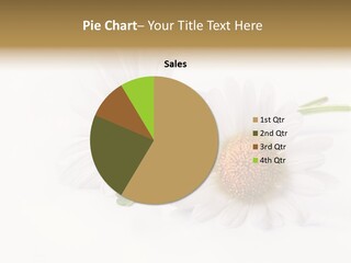 Petal Floral Clear PowerPoint Template