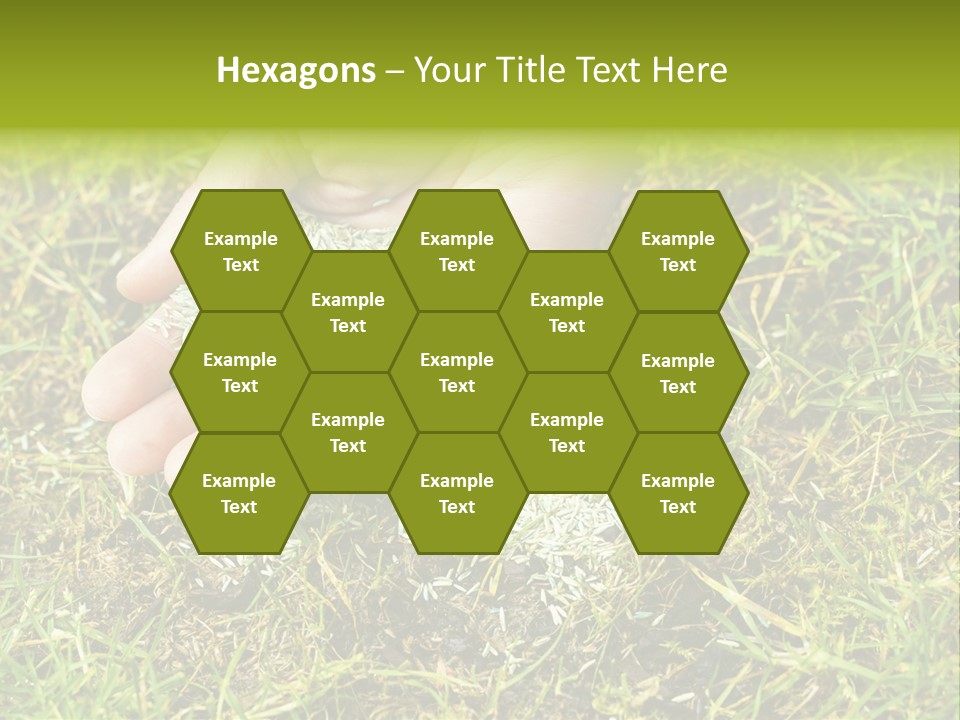 Maintenance Hand Seeding PowerPoint Template