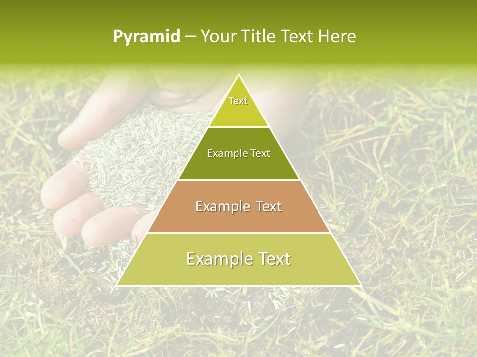 Maintenance Hand Seeding PowerPoint Template