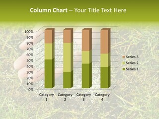 Maintenance Hand Seeding PowerPoint Template