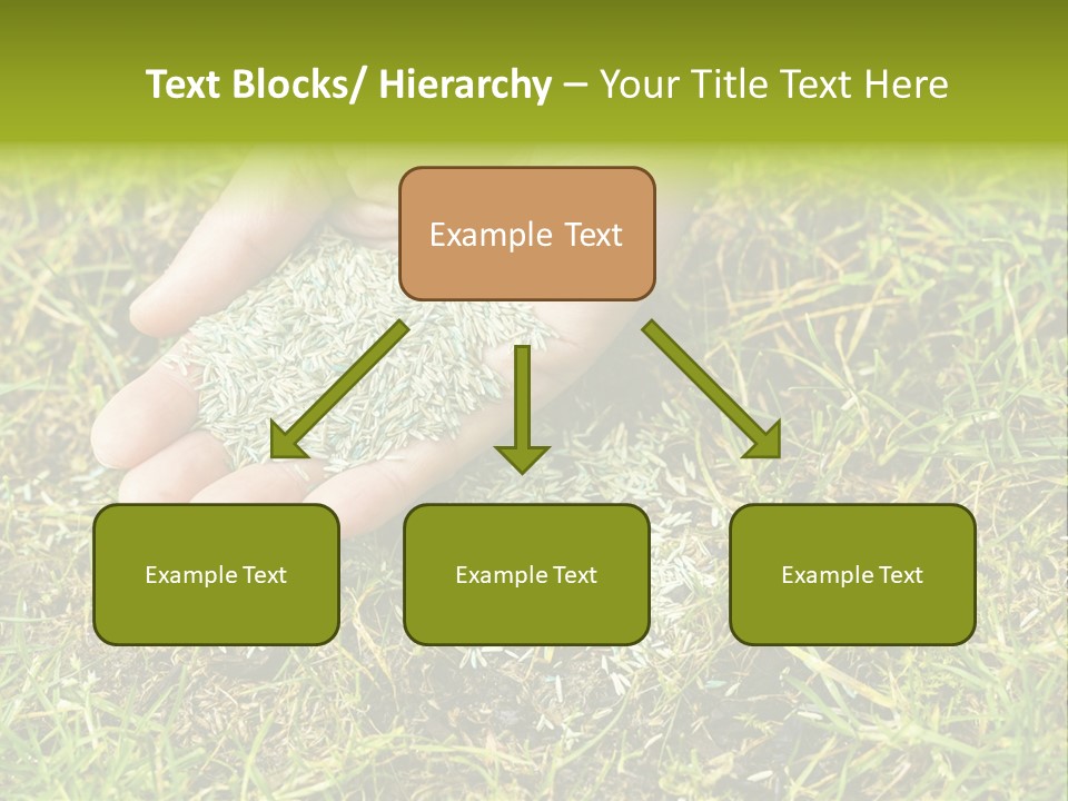 Maintenance Hand Seeding PowerPoint Template