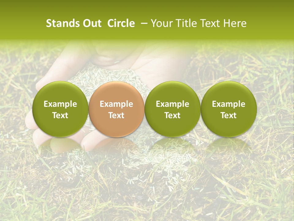 Maintenance Hand Seeding PowerPoint Template