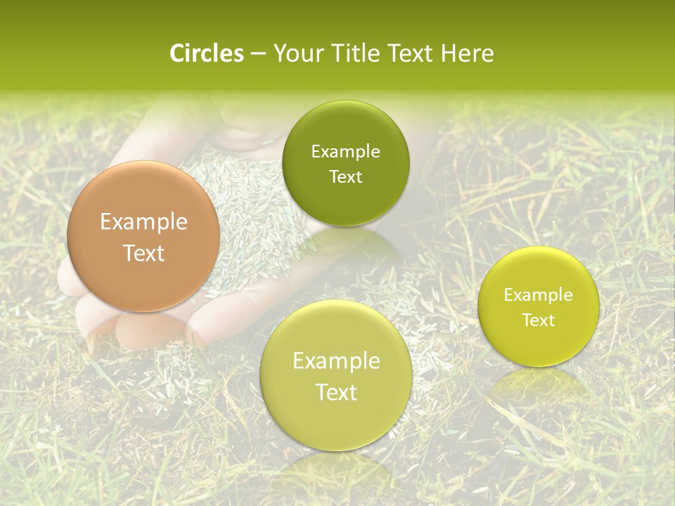 Maintenance Hand Seeding PowerPoint Template