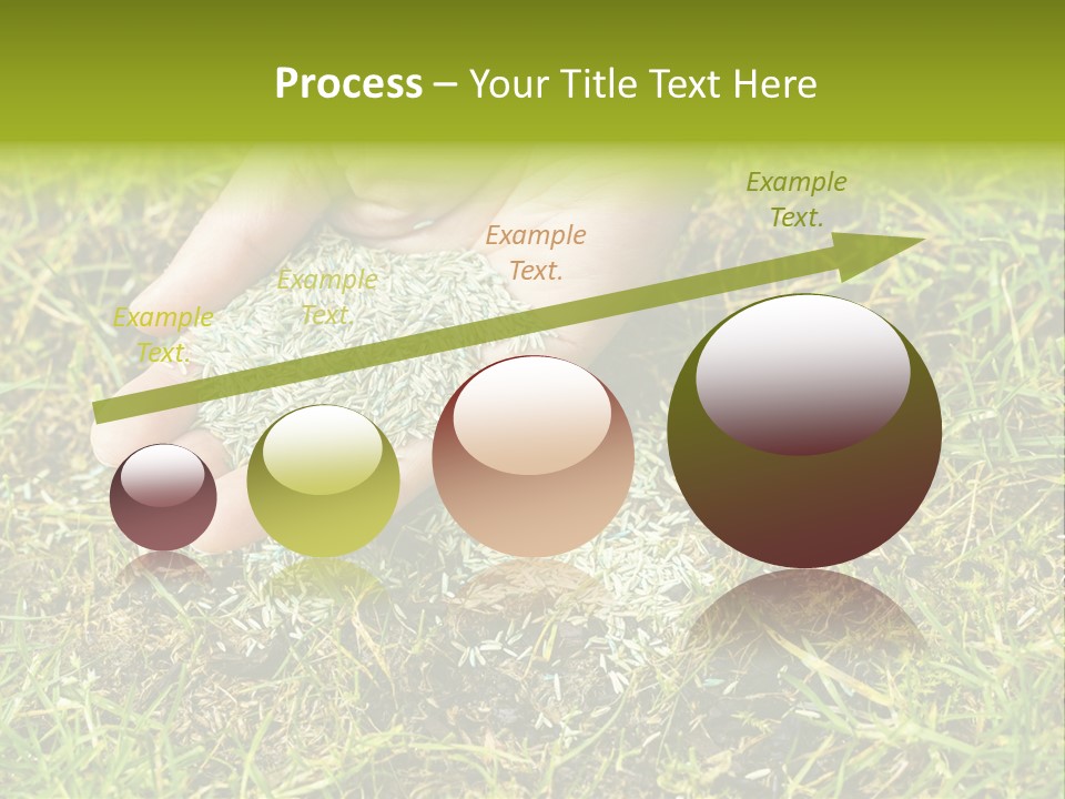 Maintenance Hand Seeding PowerPoint Template