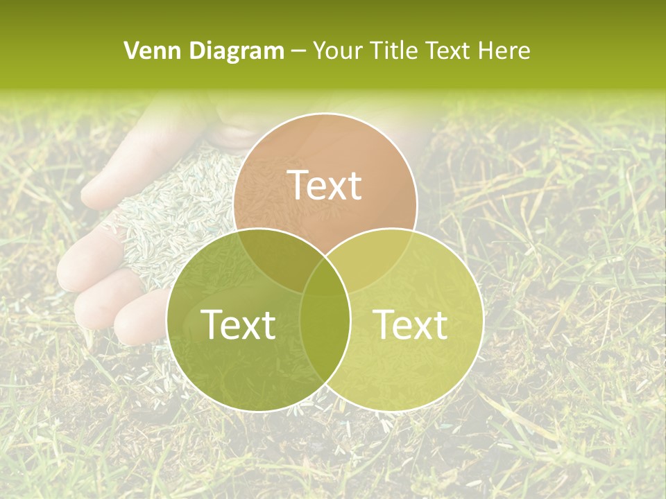 Maintenance Hand Seeding PowerPoint Template