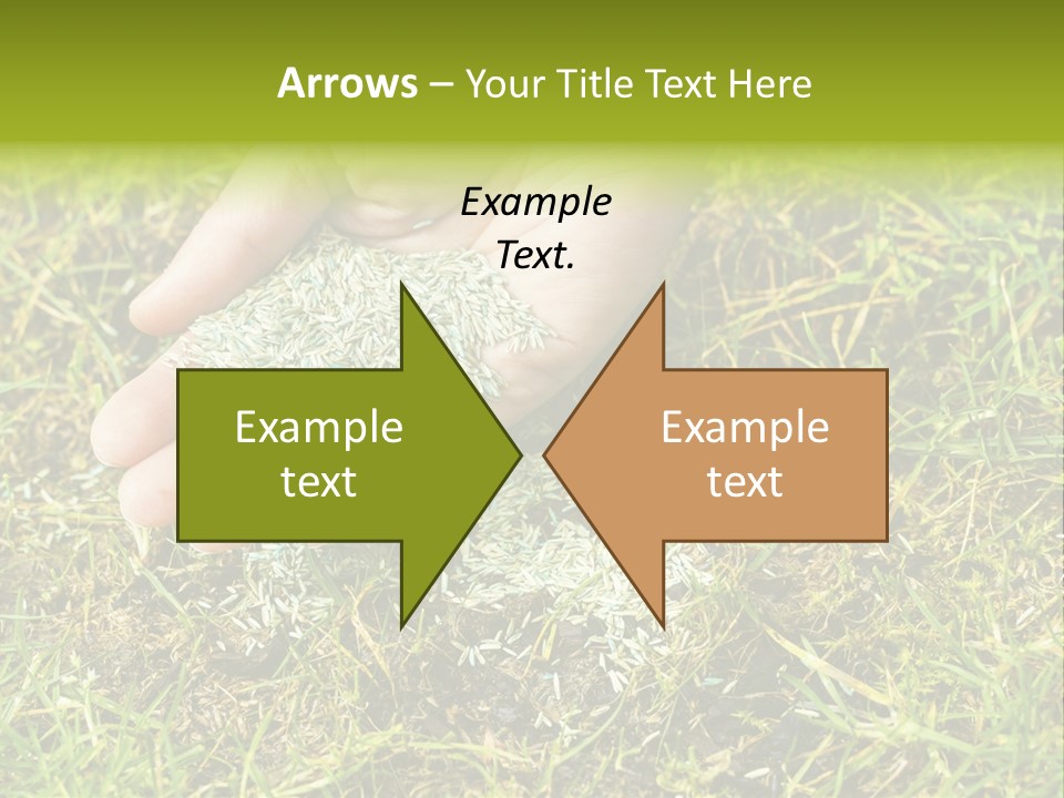 Maintenance Hand Seeding PowerPoint Template