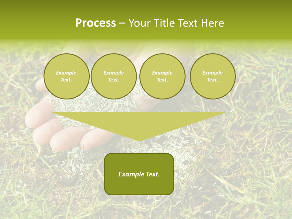 Maintenance Hand Seeding PowerPoint Template