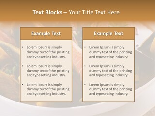 Shrimp Cioppino Seafood PowerPoint Template