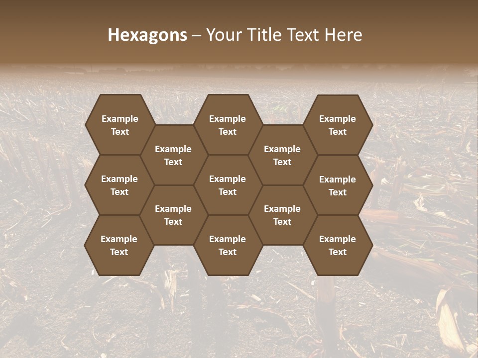 Plant Agriculture Wasteland PowerPoint Template