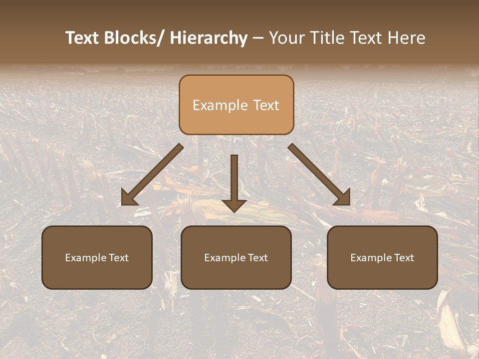 Plant Agriculture Wasteland PowerPoint Template