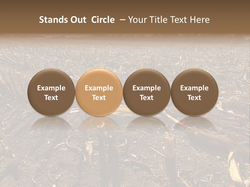 Plant Agriculture Wasteland PowerPoint Template