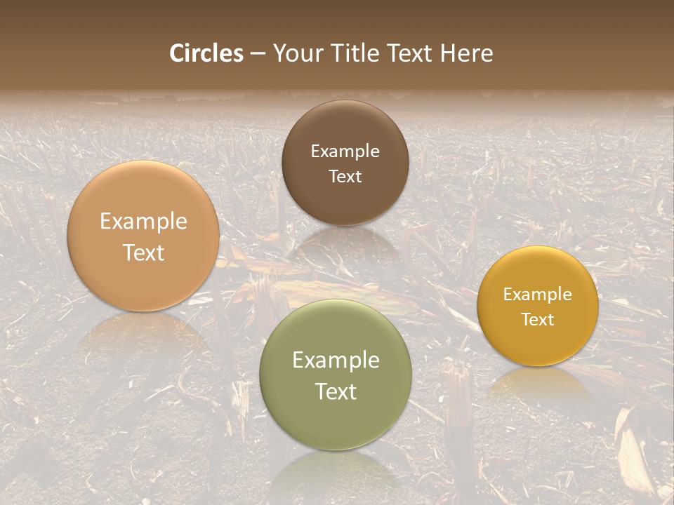 Plant Agriculture Wasteland PowerPoint Template