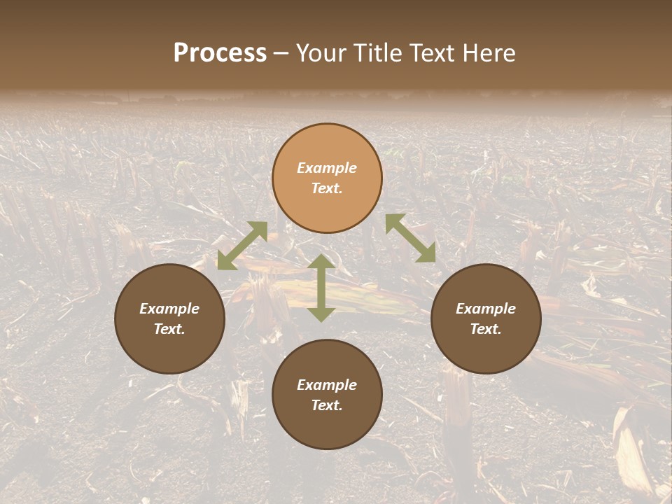 Plant Agriculture Wasteland PowerPoint Template