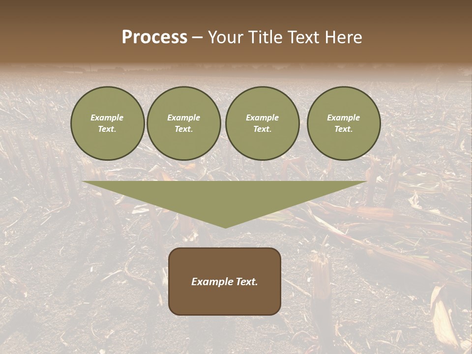 Plant Agriculture Wasteland PowerPoint Template