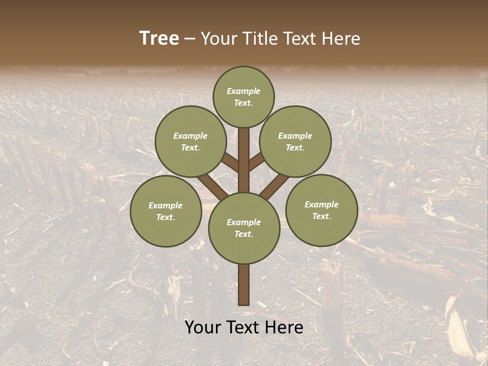 Plant Agriculture Wasteland PowerPoint Template