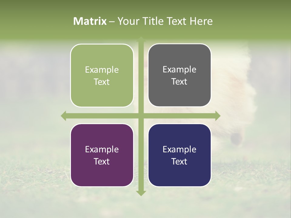 Nose Listening Showing PowerPoint Template