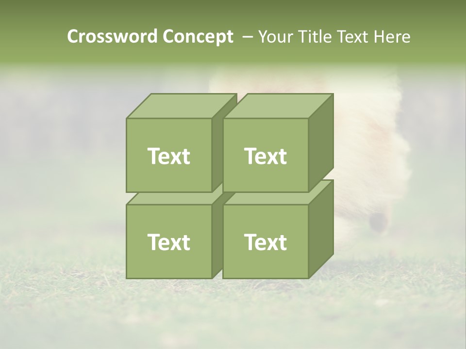 Nose Listening Showing PowerPoint Template