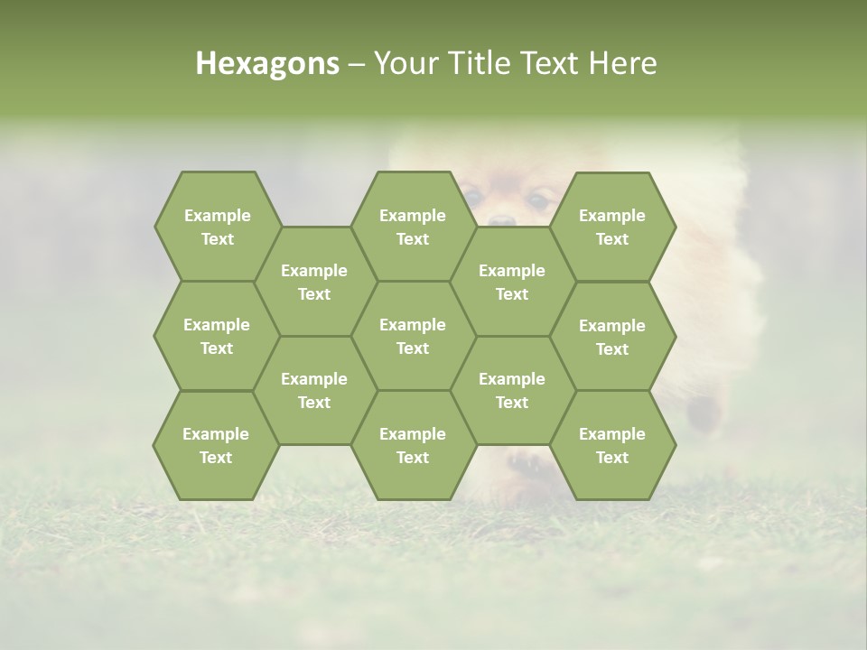 Nose Listening Showing PowerPoint Template