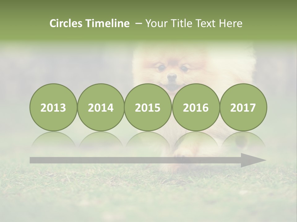 Nose Listening Showing PowerPoint Template