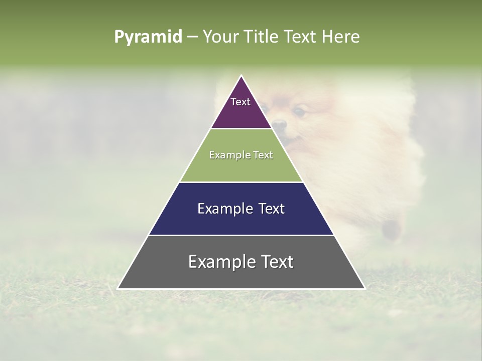 Nose Listening Showing PowerPoint Template