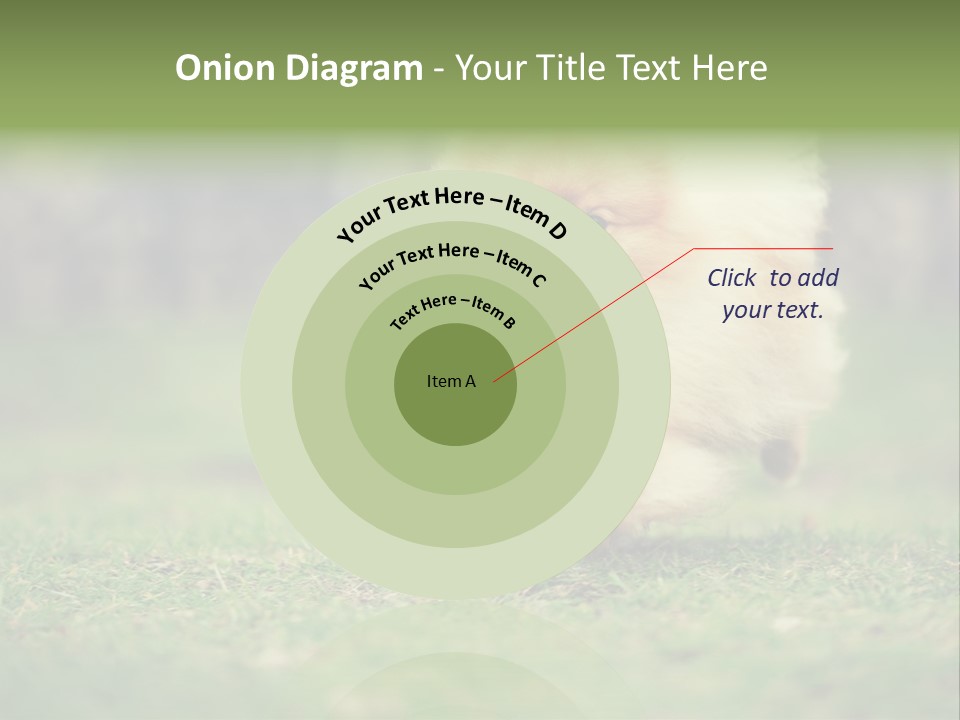 Nose Listening Showing PowerPoint Template