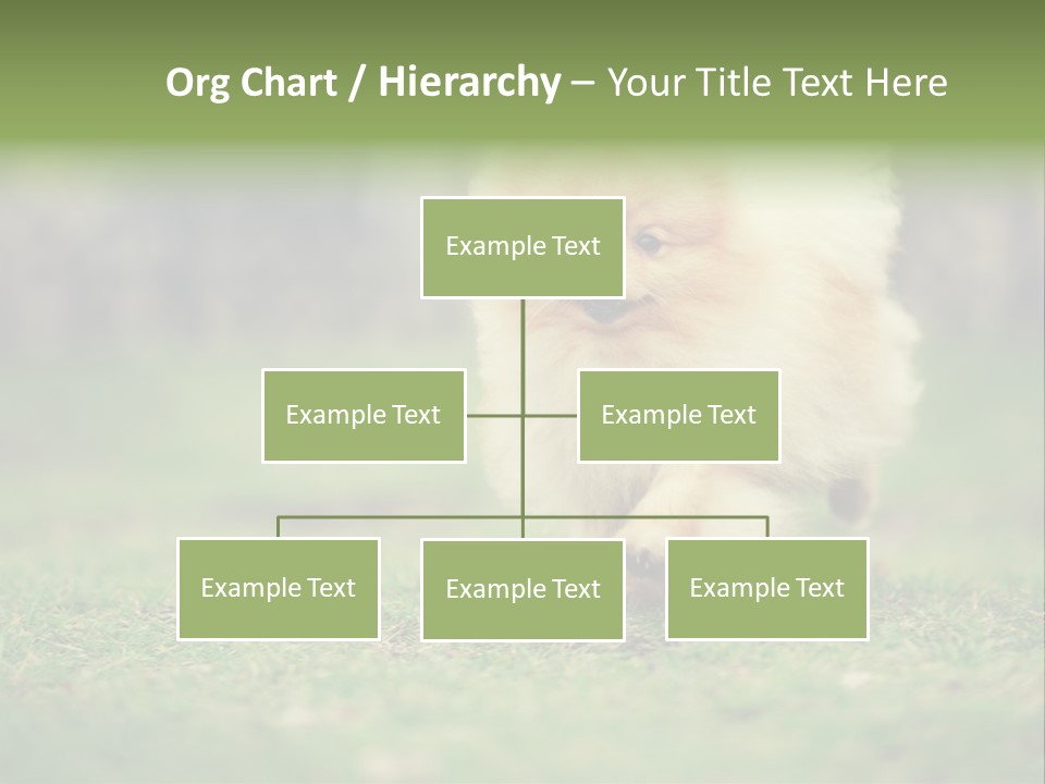 Nose Listening Showing PowerPoint Template