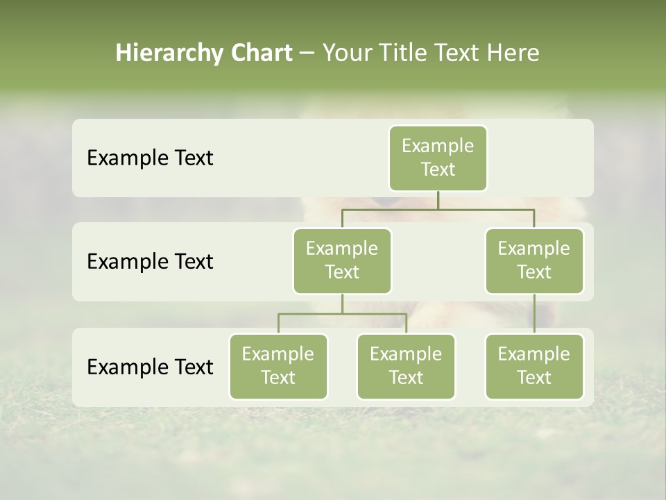 Nose Listening Showing PowerPoint Template